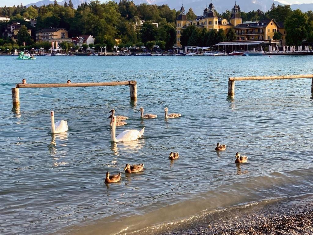 Appartement Mittagskogel Velden am Wörther See Extérieur photo